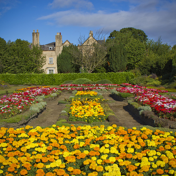 flowers at 600px wide