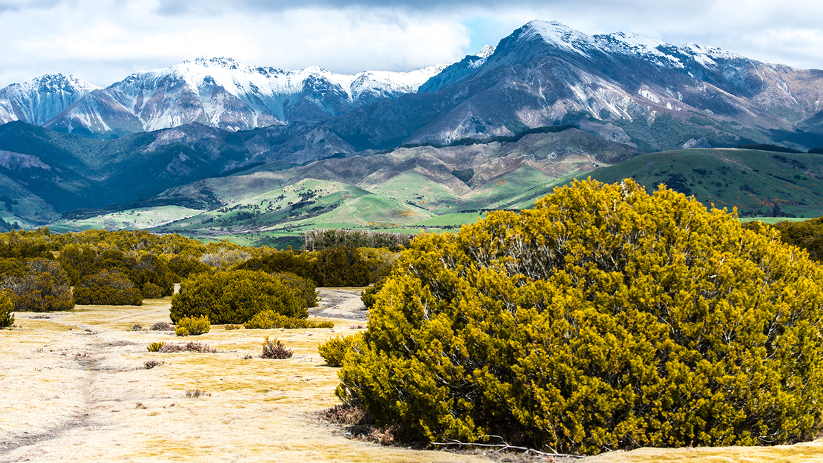 teanau-new-zealand at 1200px wide